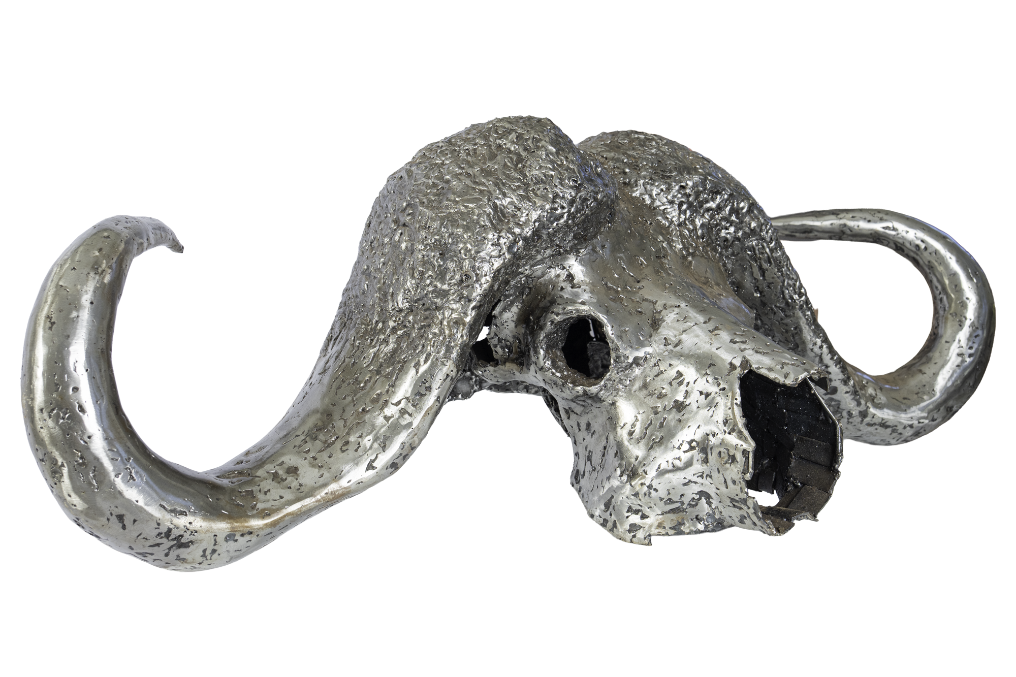 BUFFALO SKULL