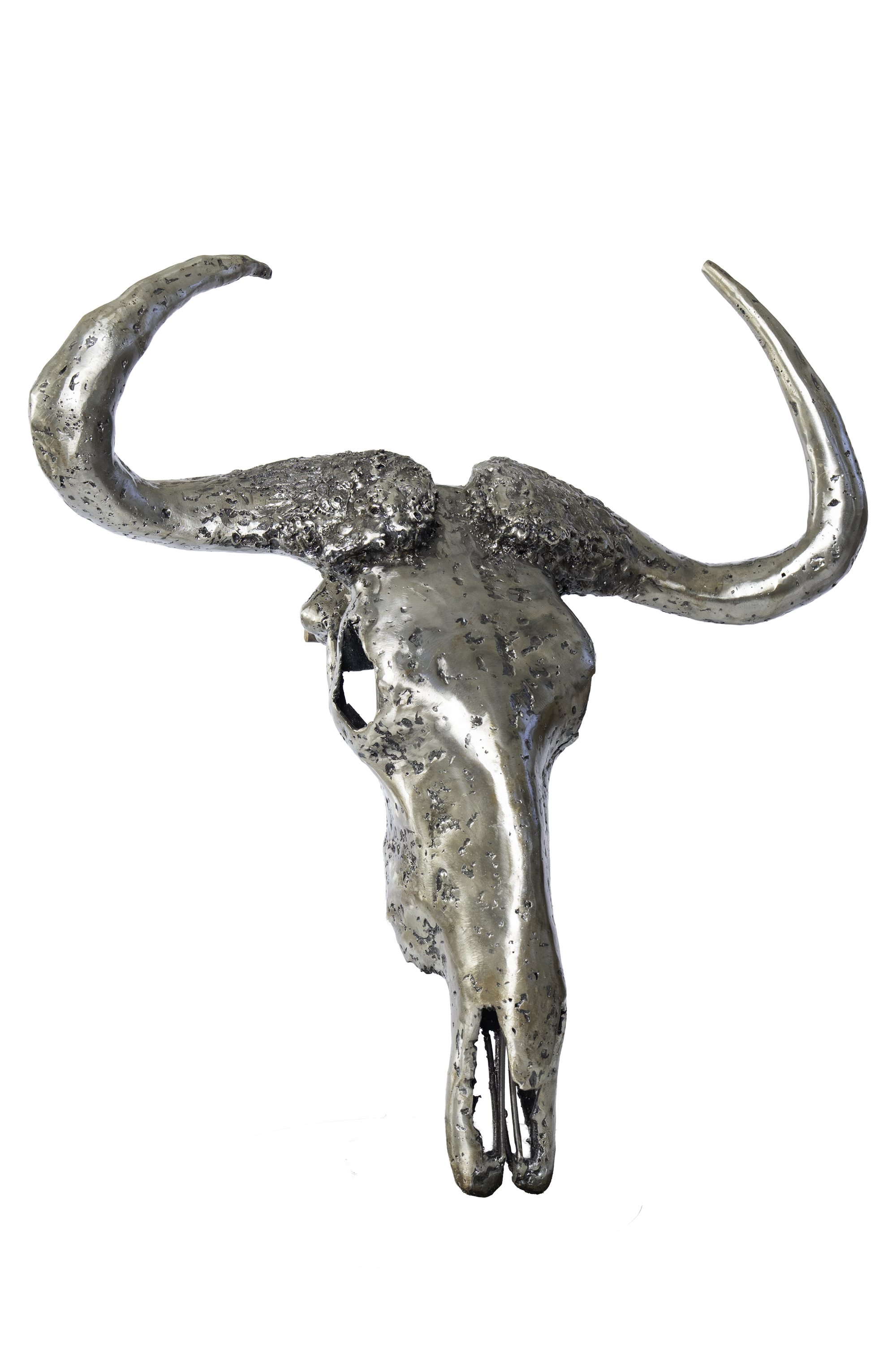 BLUE WILDEBEEST SKULL