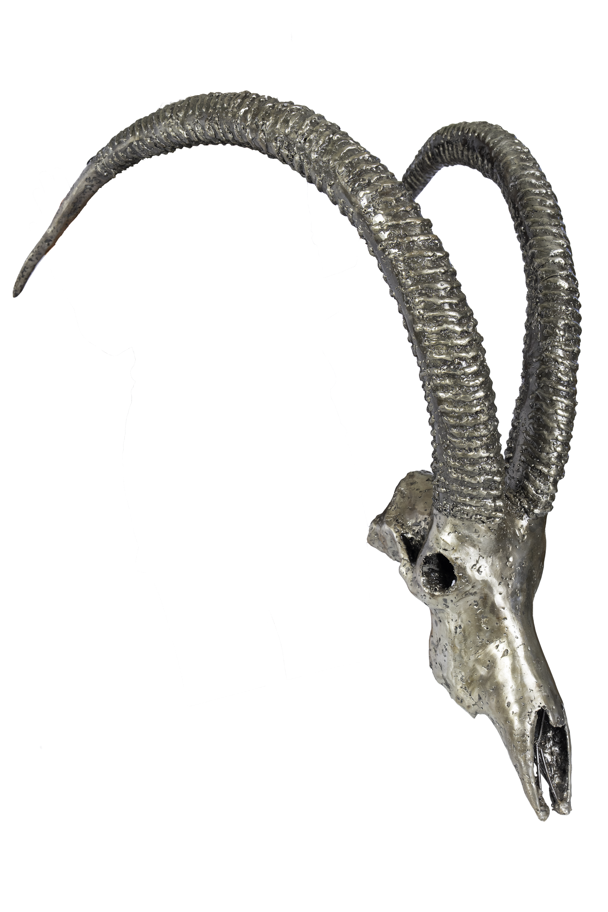 SABLE SKULL